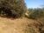 Sítio, 3 quartos, 12 hectares - Foto 44