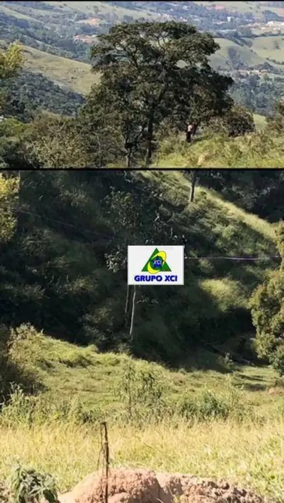 Fazenda, 85 hectares - Foto 7