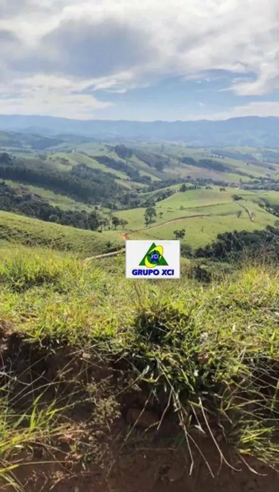 Fazenda, 85 hectares - Foto 8