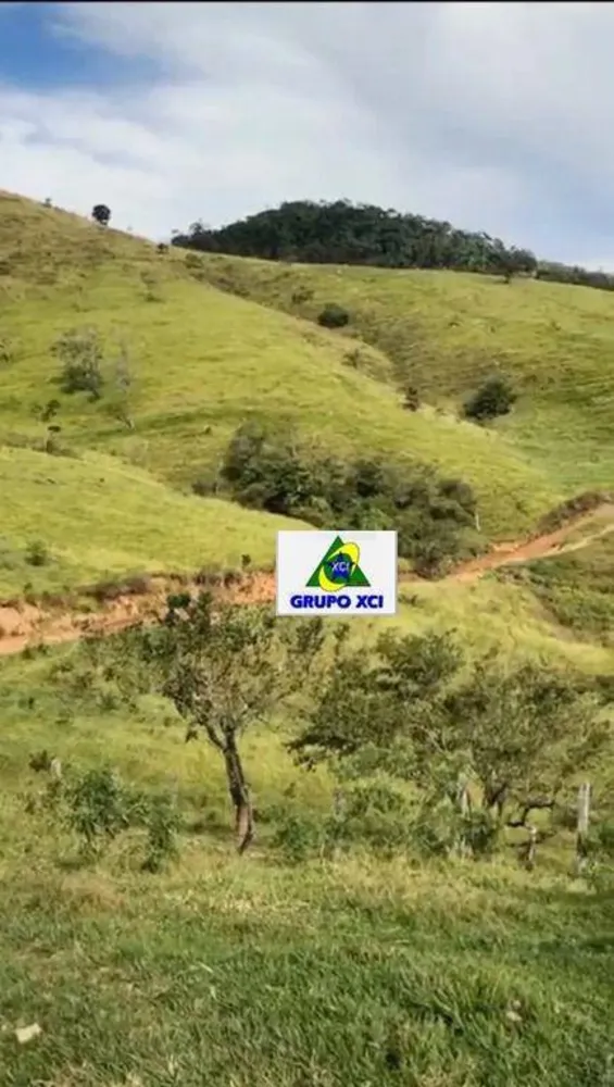 Fazenda, 85 hectares - Foto 2