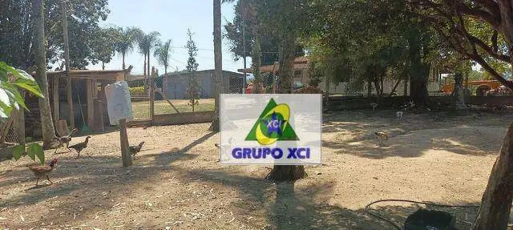Sítio, 4 quartos, 9 hectares - Foto 12
