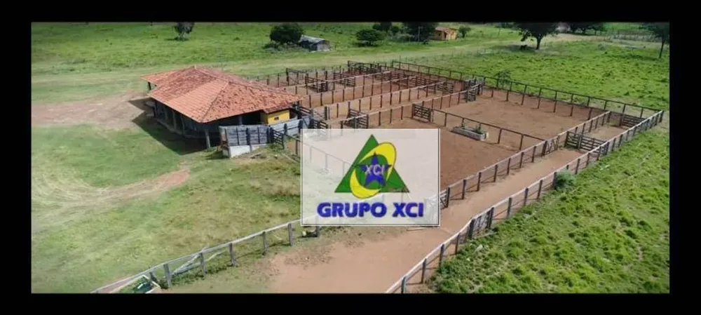 Fazenda, 13000 hectares - Foto 8