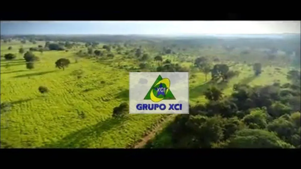 Fazenda, 13000 hectares - Foto 7