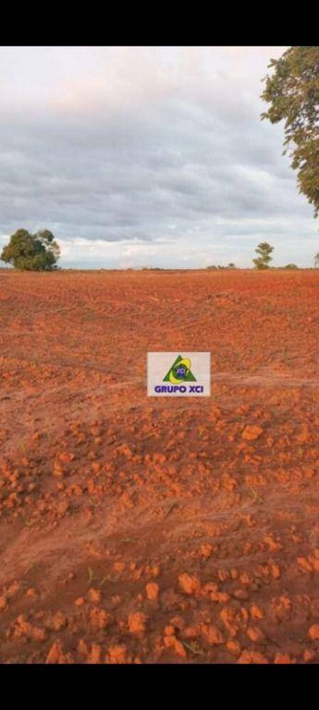 Fazenda, 1000 hectares - Foto 4