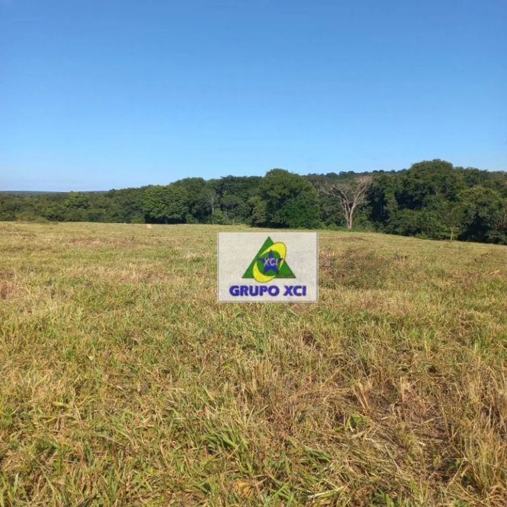 Fazenda, 1000 hectares - Foto 12