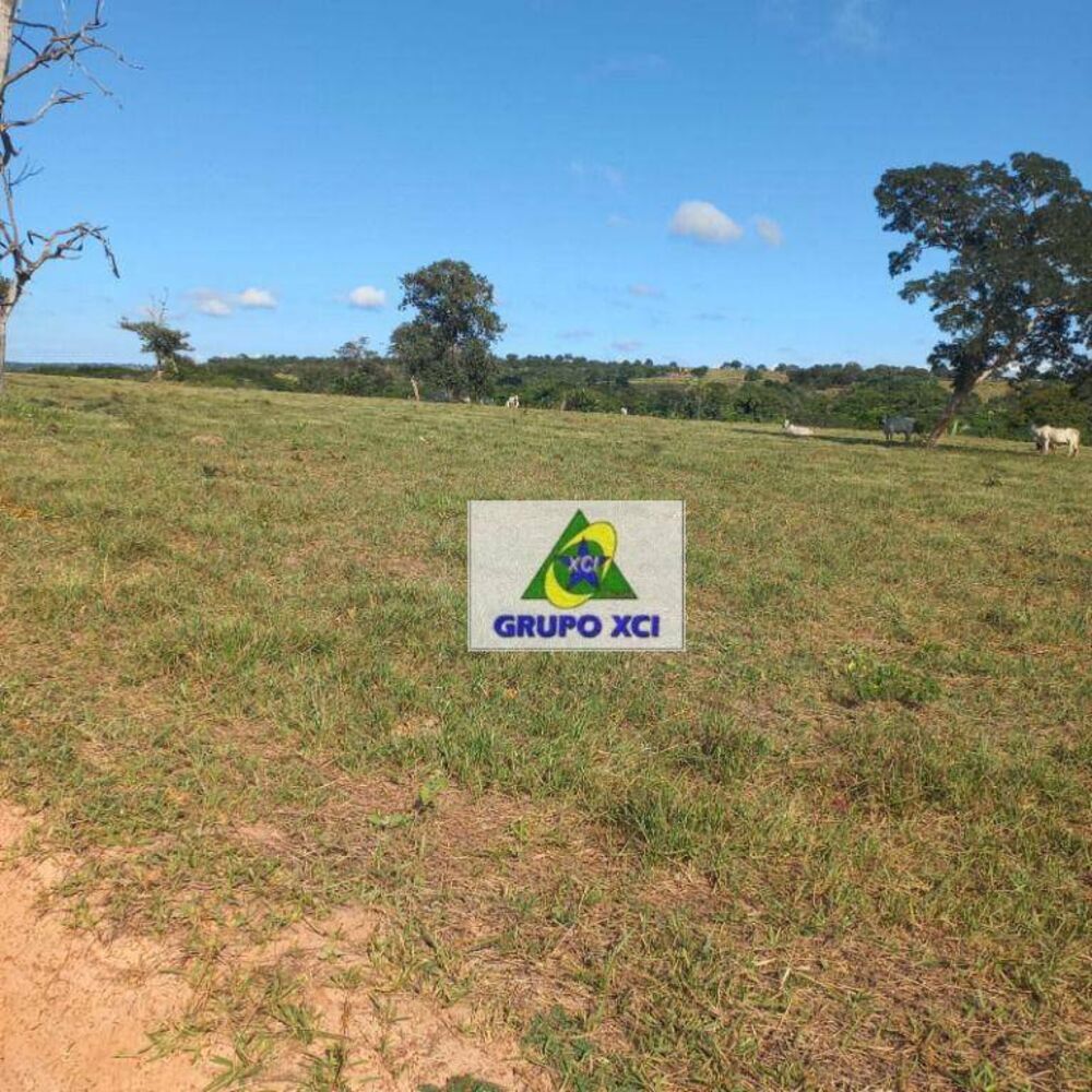 Fazenda, 1000 hectares - Foto 7