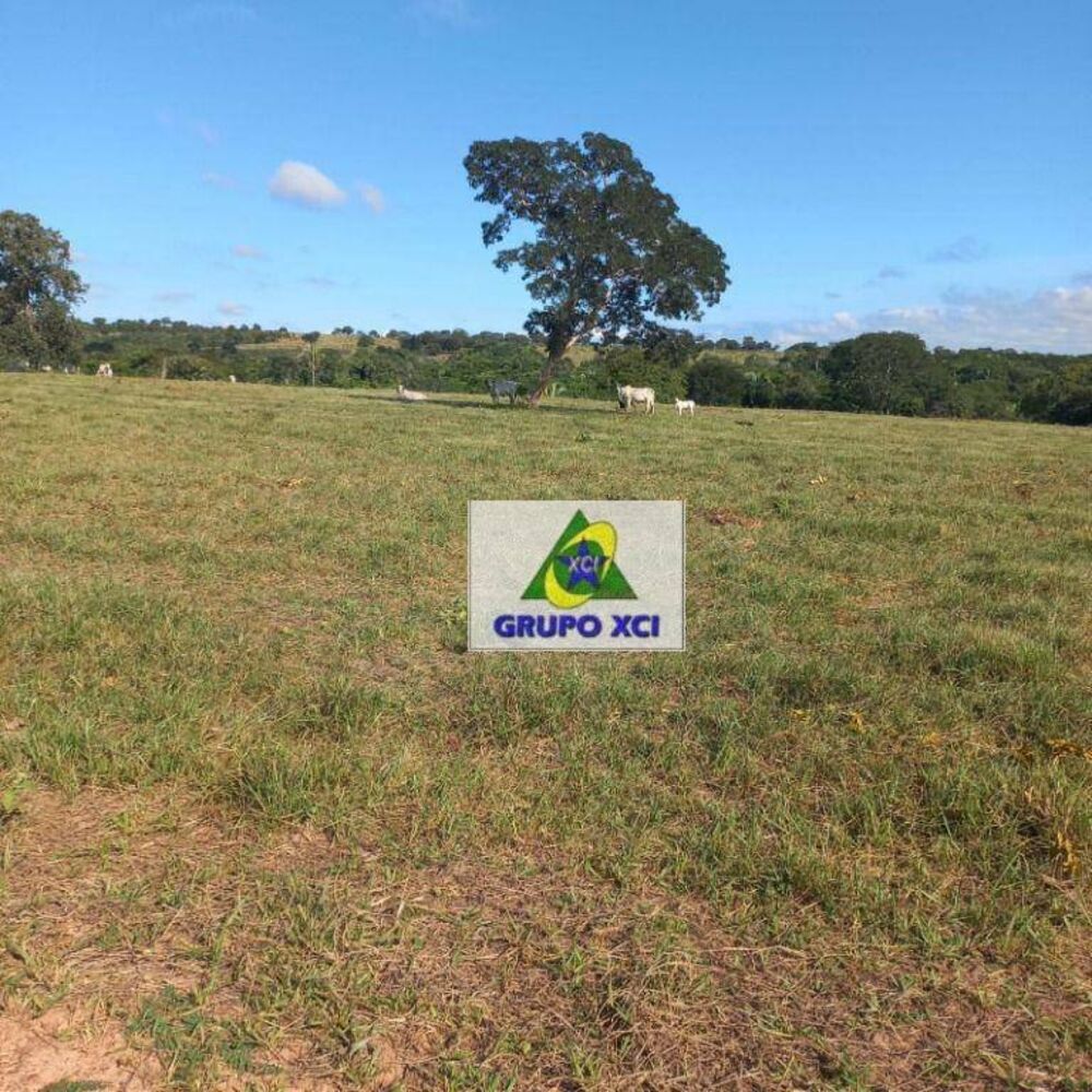 Fazenda, 1000 hectares - Foto 8