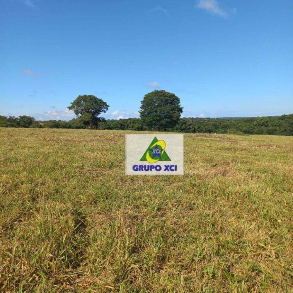 Fazenda, 1000 hectares - Foto 6