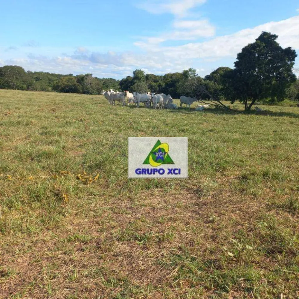 Fazenda, 1000 hectares - Foto 13