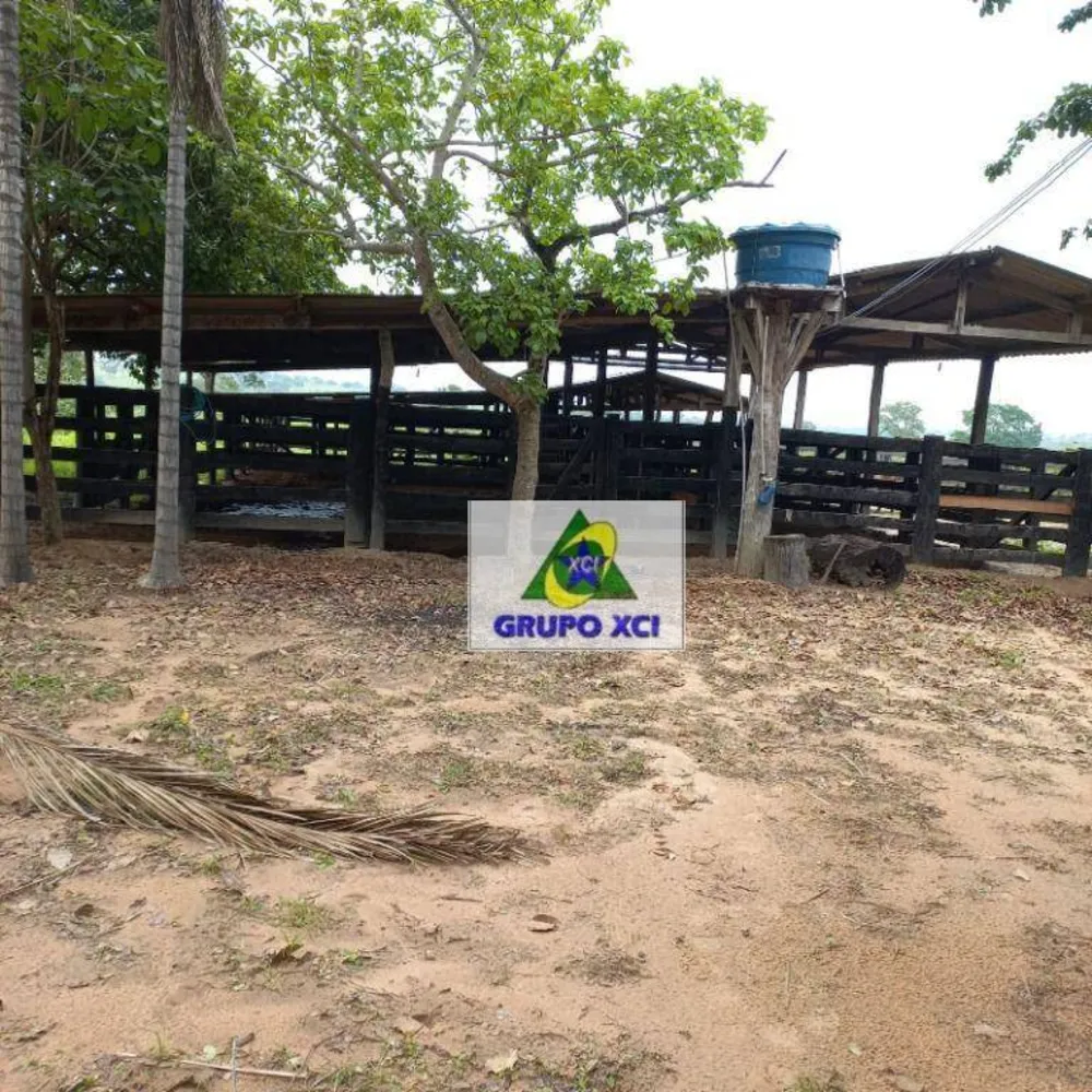 Fazenda, 1000 hectares - Foto 4
