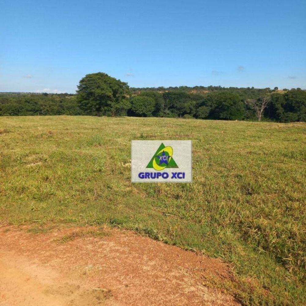 Fazenda, 1000 hectares - Foto 5