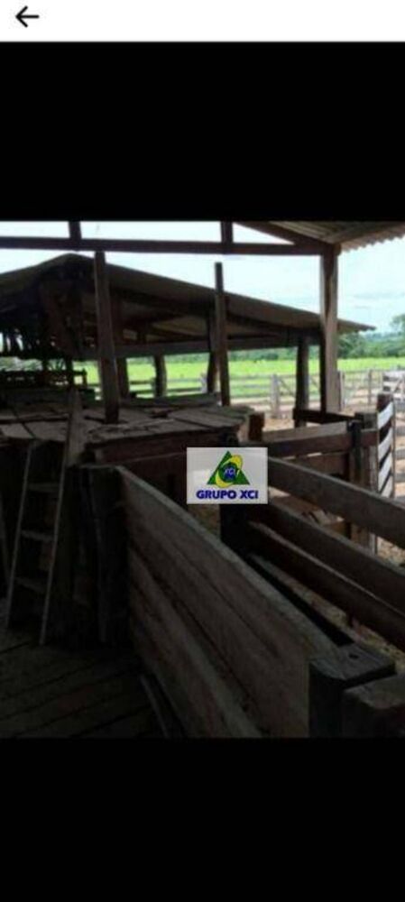 Fazenda, 1000 hectares - Foto 1