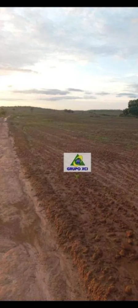 Fazenda, 1000 hectares - Foto 8
