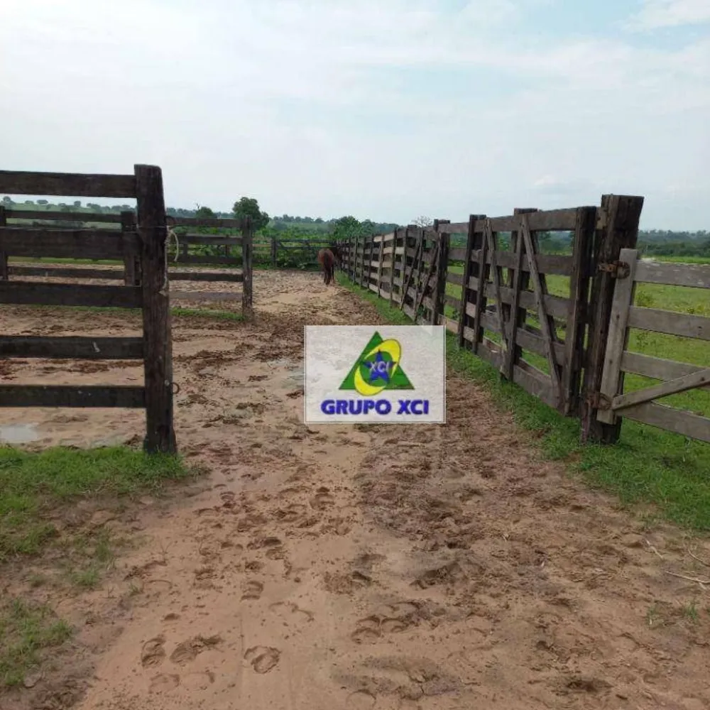 Fazenda, 1000 hectares - Foto 6