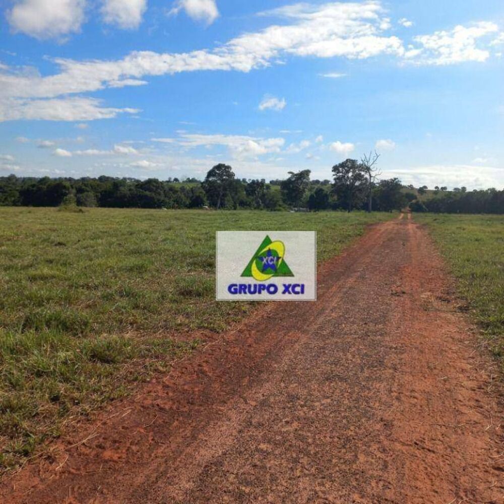Fazenda, 1000 hectares - Foto 2