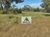 Fazenda-Sítio-Chácara, 14000 hectares - Foto 12