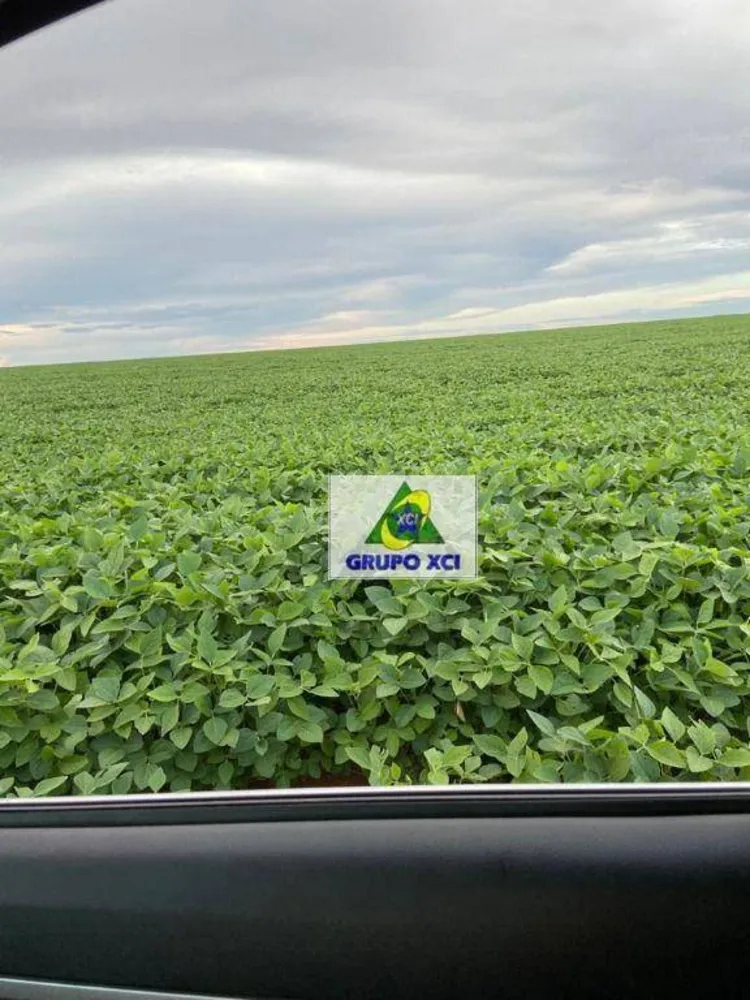 Fazenda, 13072 hectares - Foto 4