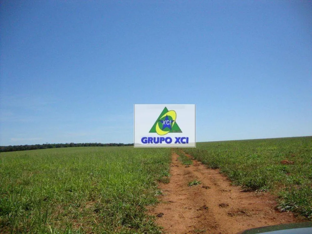 Fazenda, 13072 hectares - Foto 2