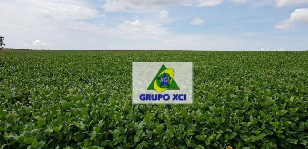 Fazenda, 13072 hectares - Foto 3