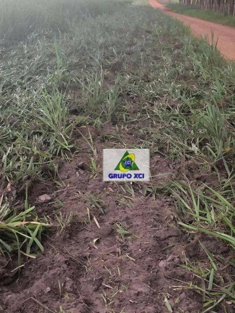 Fazenda, 13072 hectares - Foto 7