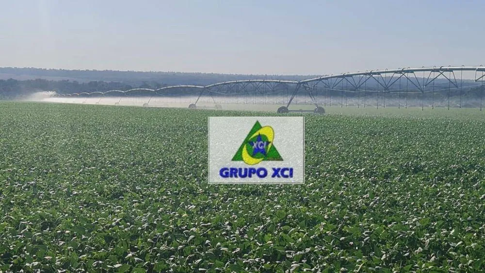 Fazenda, 4600 hectares - Foto 8