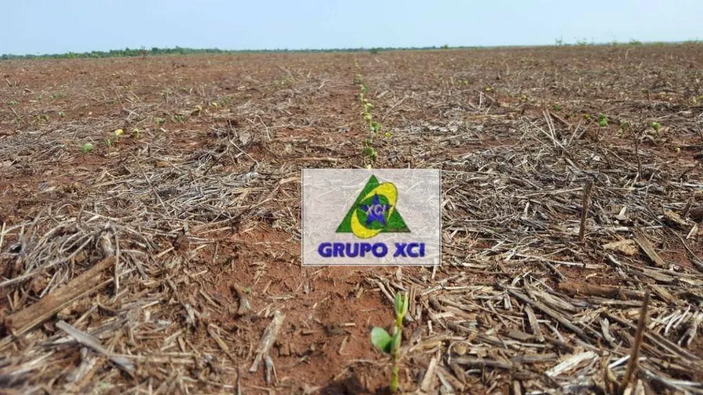 Fazenda, 4600 hectares - Foto 7