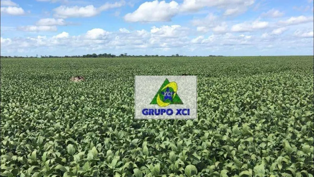 Fazenda, 6616 hectares - Foto 12
