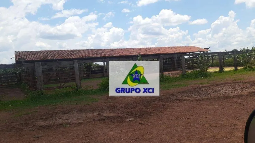 Fazenda, 6616 hectares - Foto 8