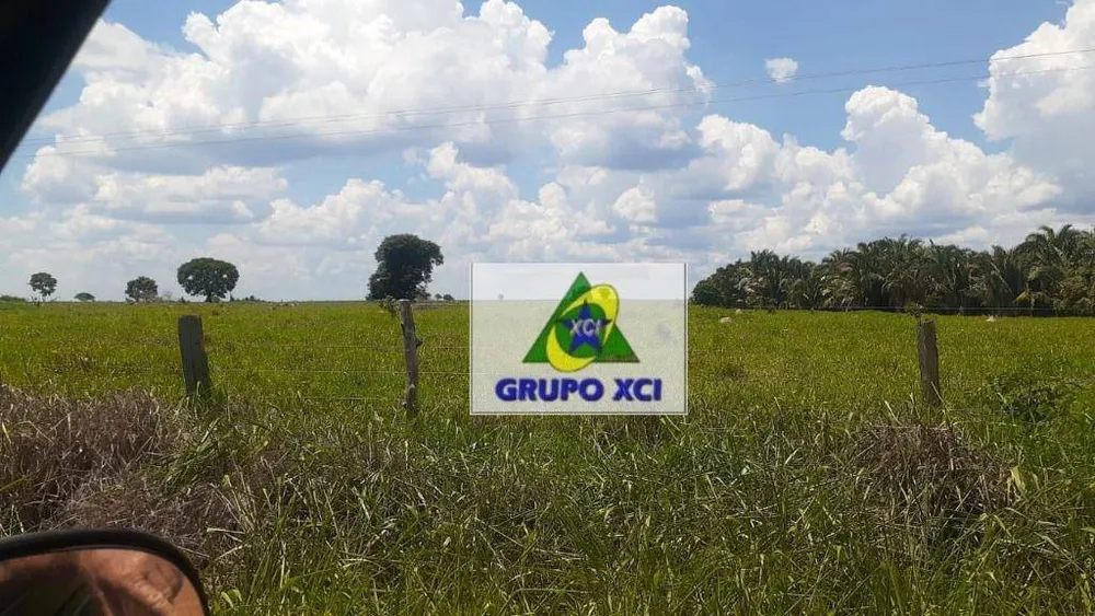 Fazenda, 6616 hectares - Foto 7