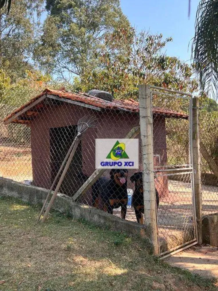 Sítio, 2 quartos, 5000 m² - Foto 4