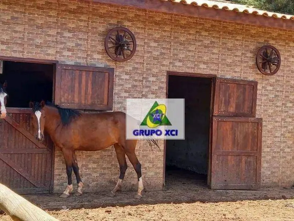 Chácara, 4 quartos, 5664 m² - Foto 1