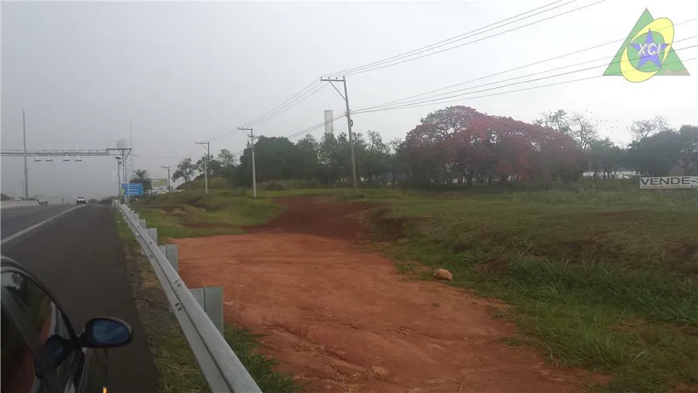 Terreno, 6 hectares - Foto 4