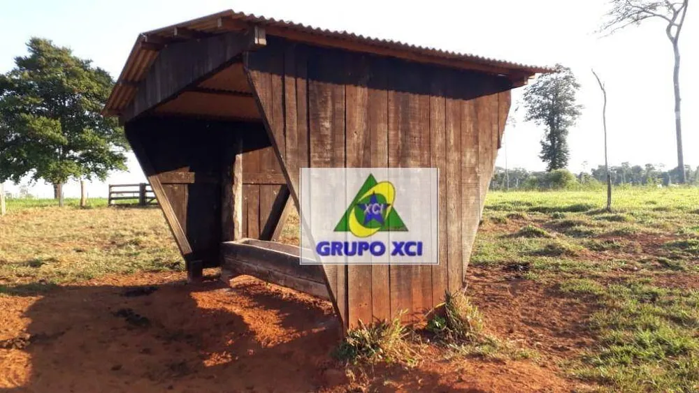 Fazenda, 1053 hectares - Foto 7