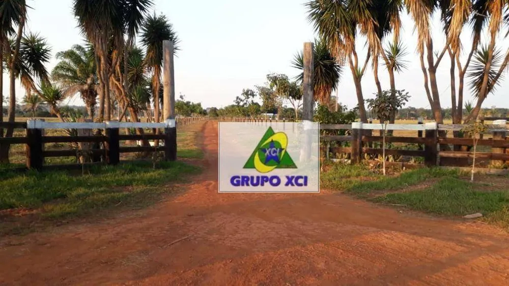 Fazenda, 1053 hectares - Foto 8
