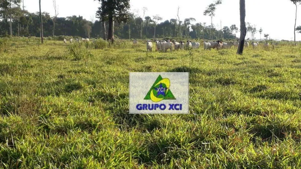 Fazenda, 1053 hectares - Foto 1