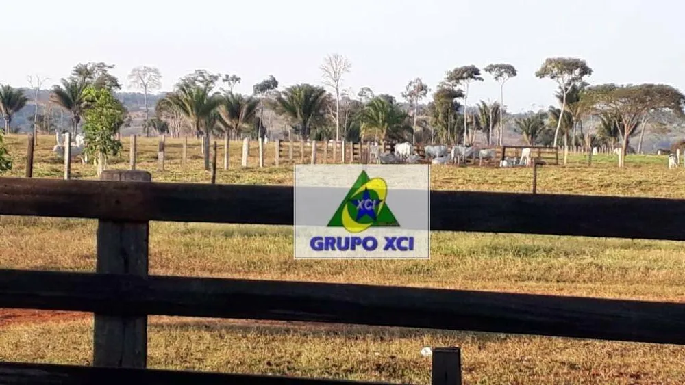 Fazenda, 1053 hectares - Foto 5