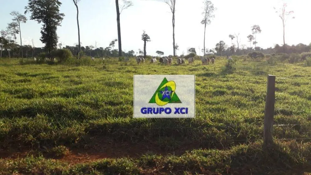 Fazenda, 1053 hectares - Foto 2