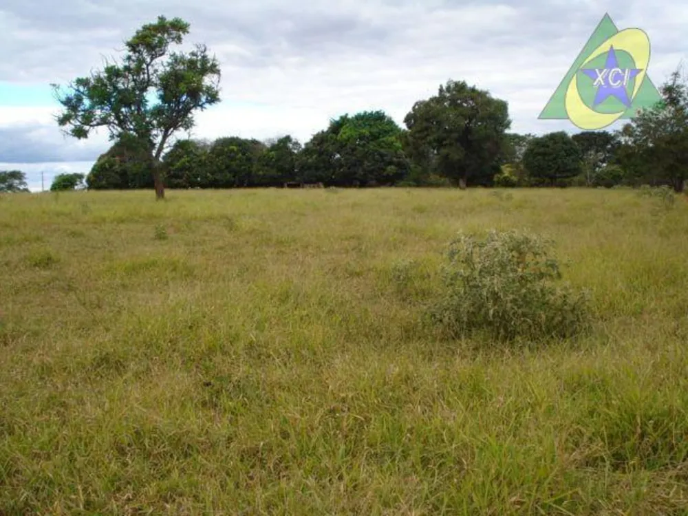 Fazenda, 22 hectares - Foto 6