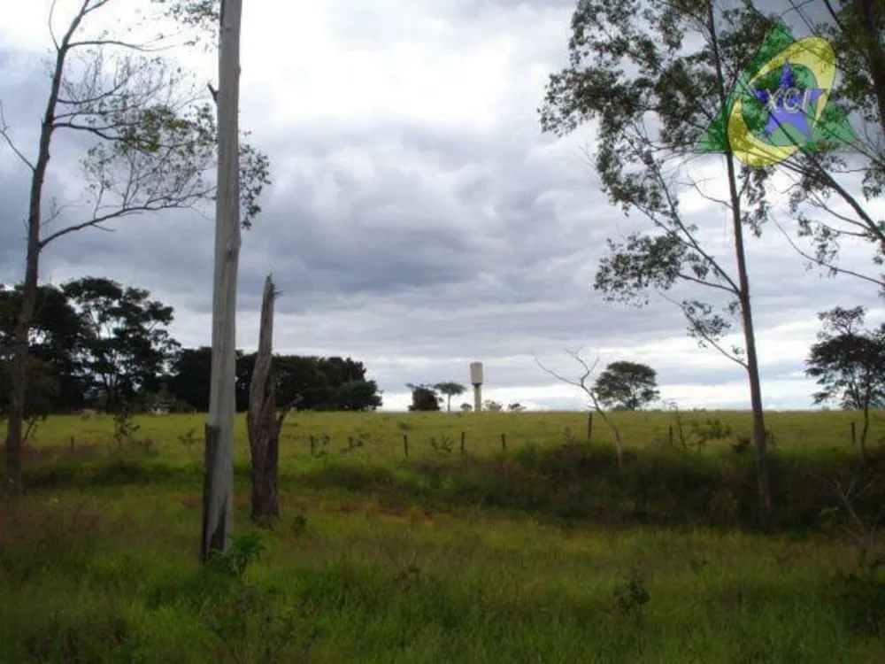 Fazenda, 22 hectares - Foto 8