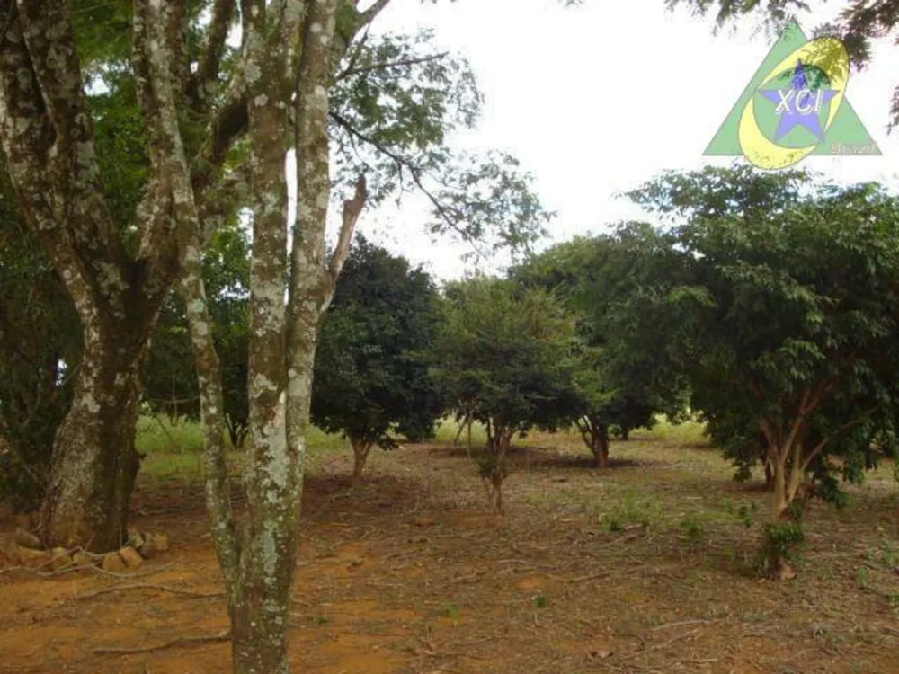 Fazenda, 22 hectares - Foto 4