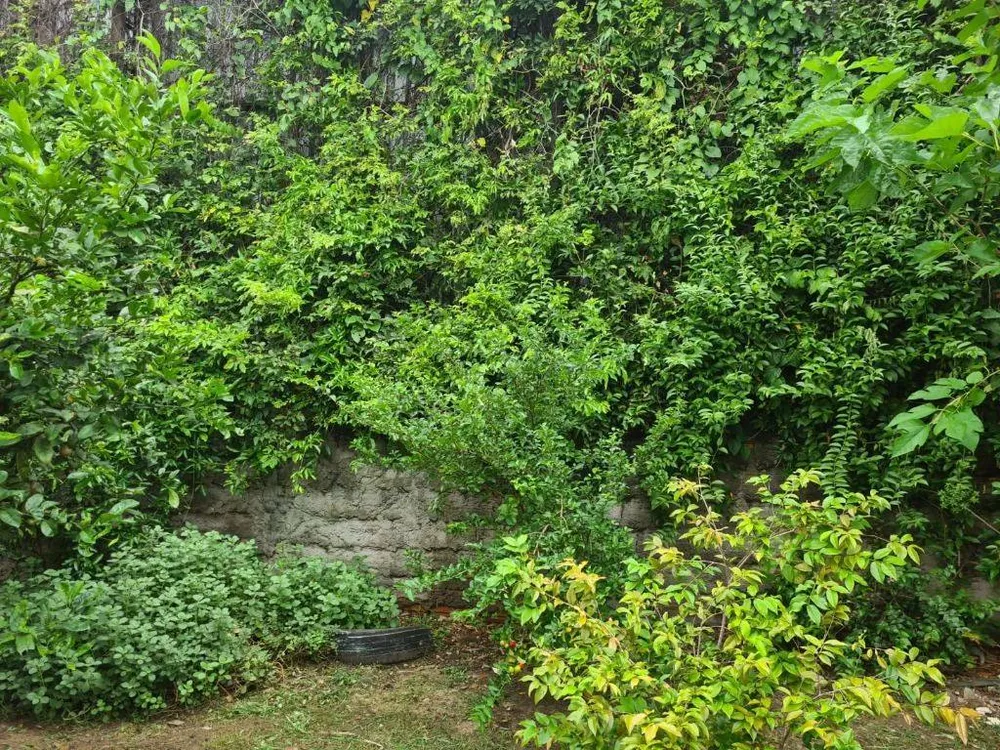 Casa, 4 quartos, 182 m² - Foto 2