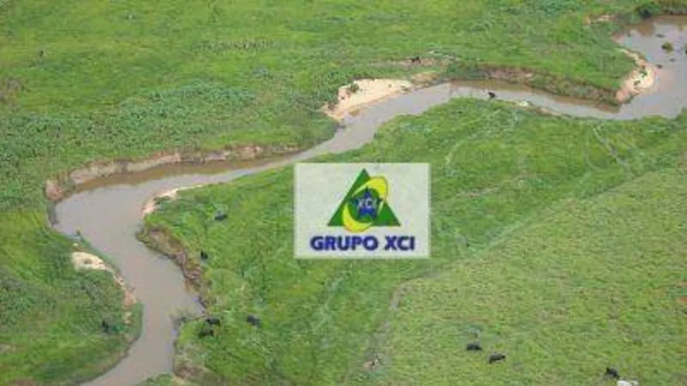 Fazenda, 100000 hectares - Foto 10