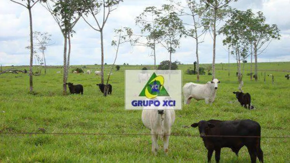 Fazenda, 100000 hectares - Foto 7