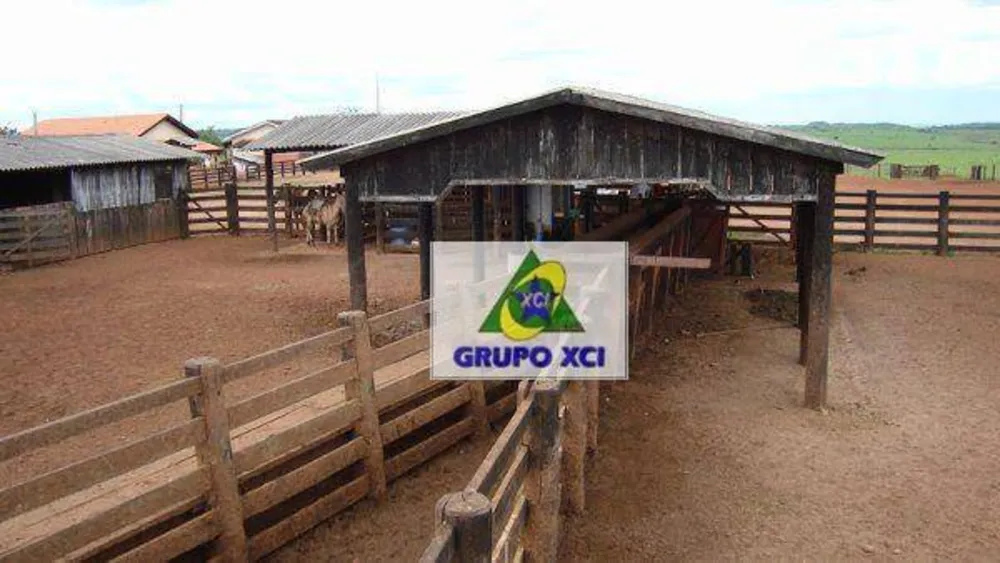 Fazenda, 100000 hectares - Foto 4