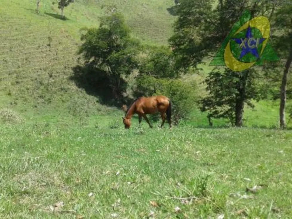 Fazenda, 24 hectares - Foto 2