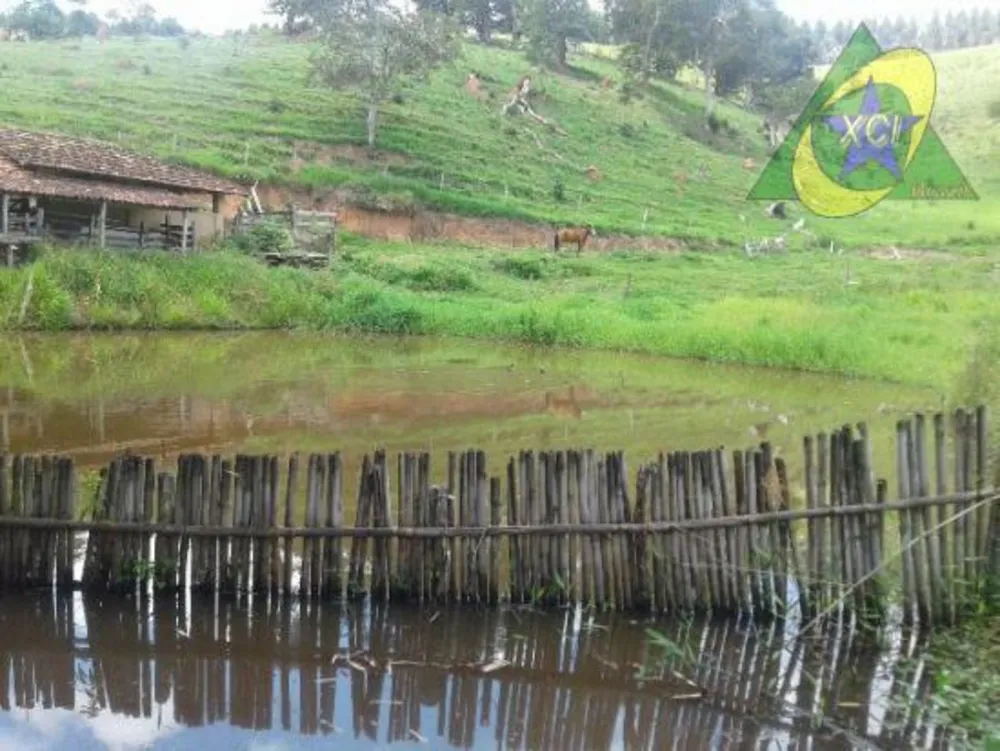 Fazenda, 24 hectares - Foto 4