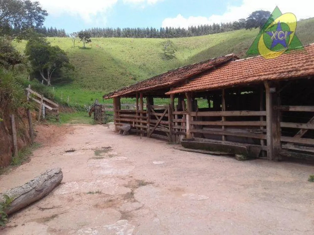 Fazenda, 24 hectares - Foto 3