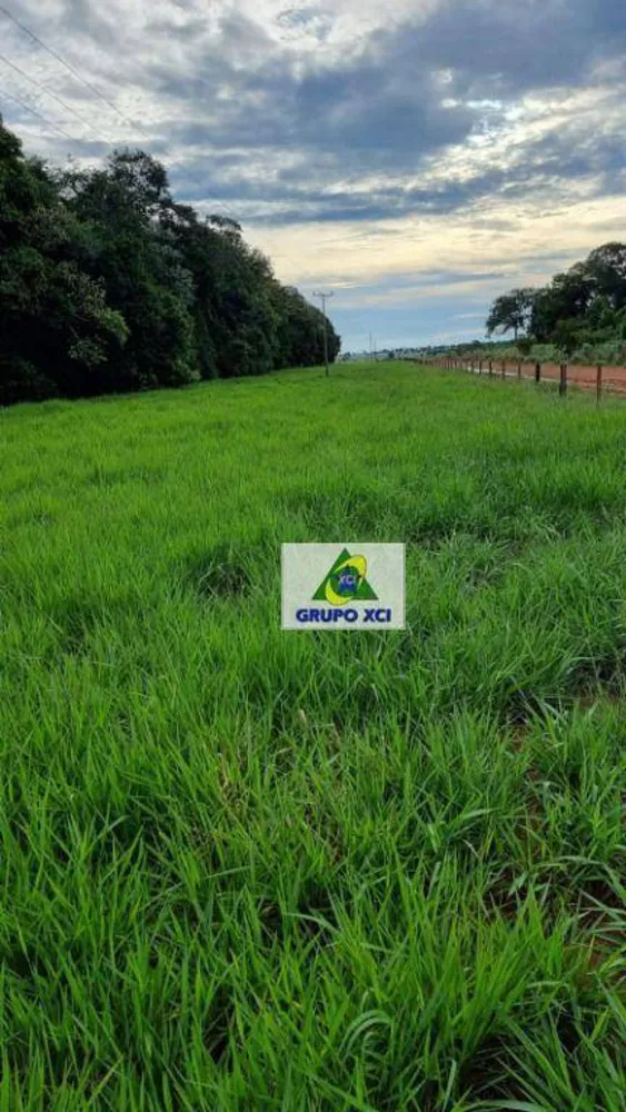 Fazenda, 177 hectares - Foto 5
