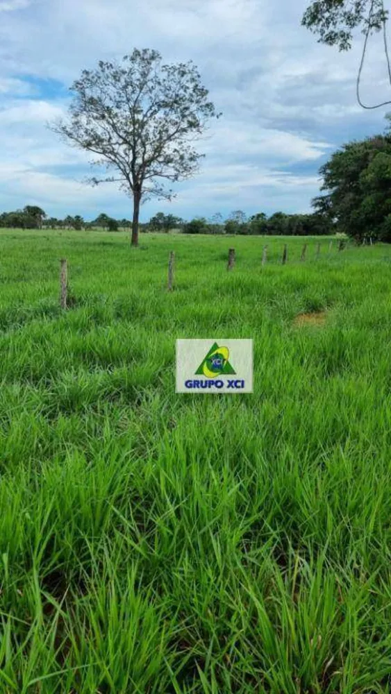 Fazenda, 177 hectares - Foto 4