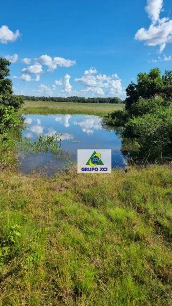 Fazenda, 177 hectares - Foto 1